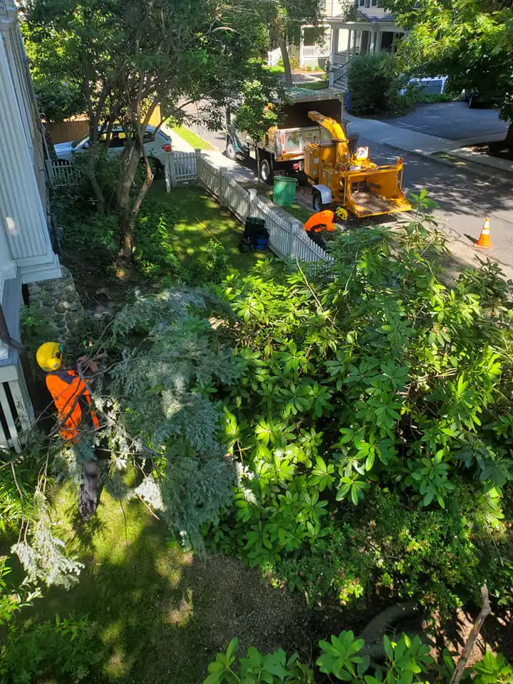 Watertown, Massachusetts