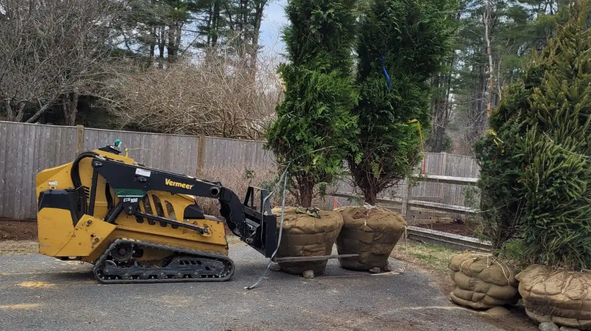 Millis, MA 9 Norfolk Tree Service crew photo, tree services for Millis, MA