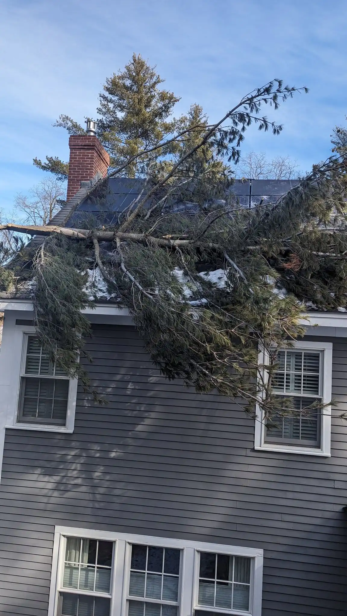 Medway, MA 9 Norfolk Tree Service crew photo, tree services for Medway, MA