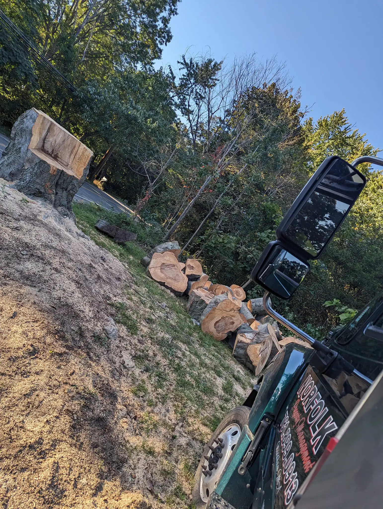 Milford, MA 9 Norfolk Tree Service crew photo, tree services for Milford, MA