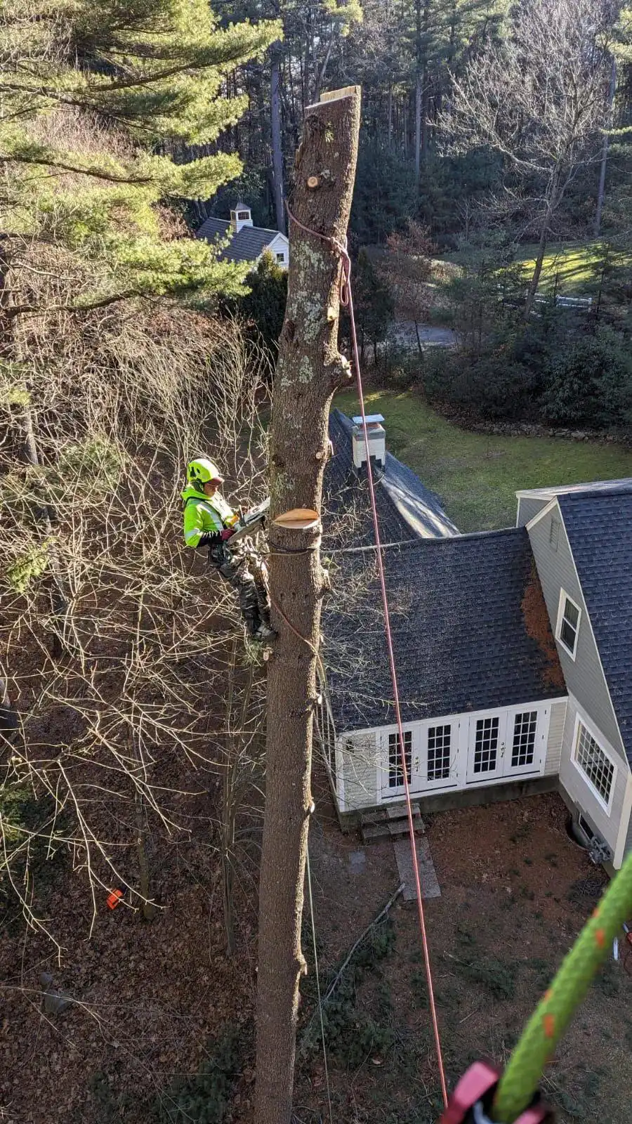 Tree Service Near Me — Same-Day Across 43 MA Towns 9 Norfolk Tree Service crew photo, tree services for Norfolk County and Greater Boston, MA