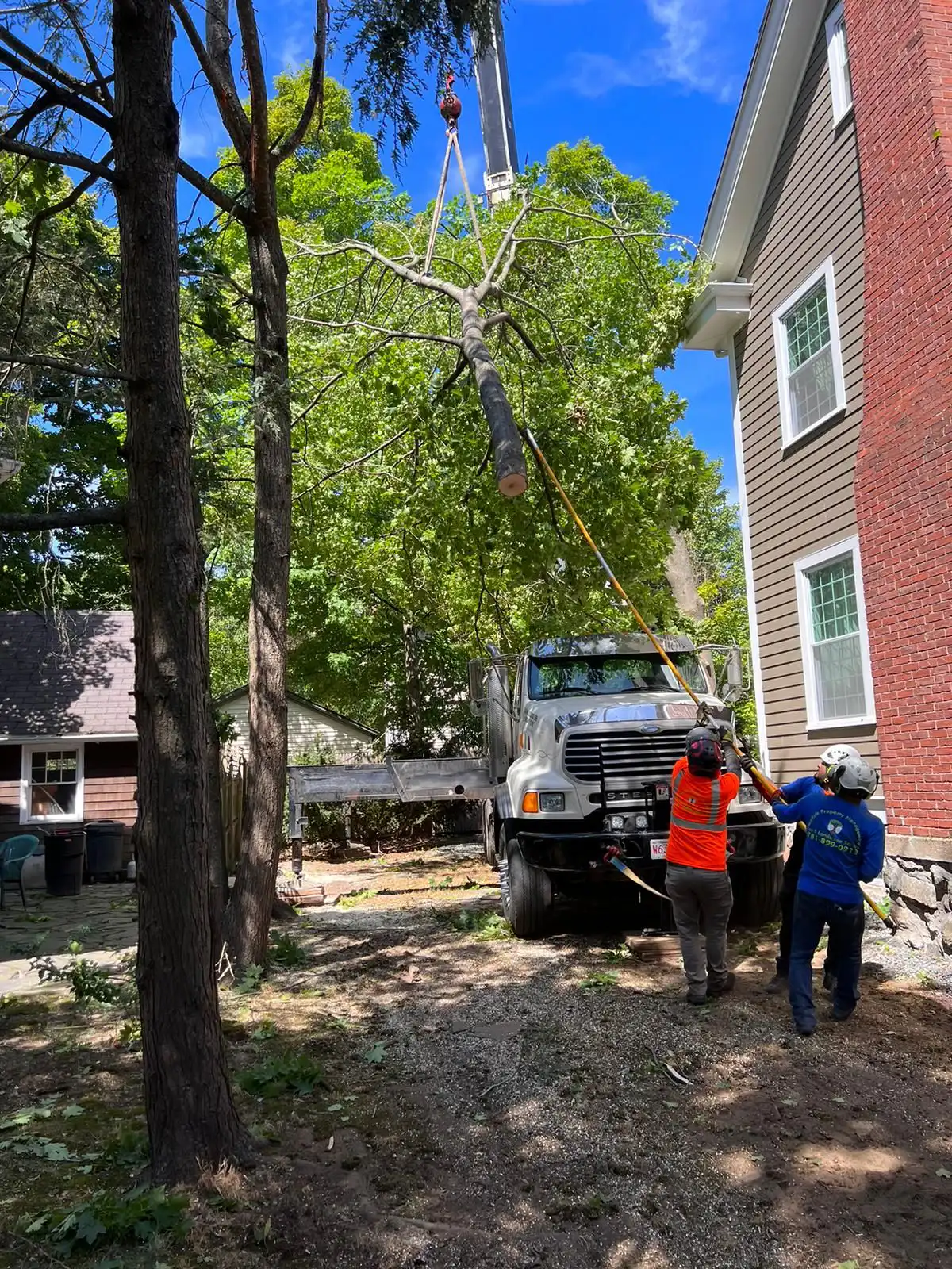 North Attleborough, MA 9 Norfolk Tree Service crew photo, tree services for North Attleborough, MA