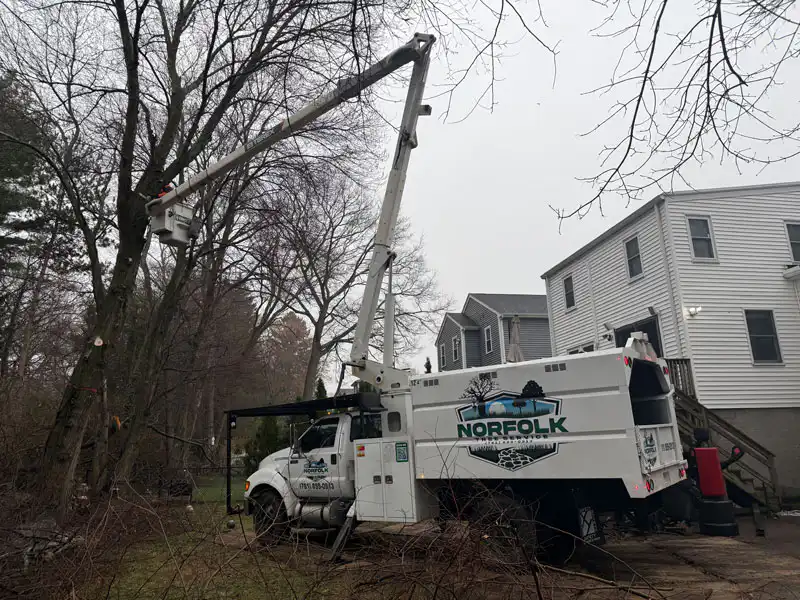 24/7 Emergency Tree Services