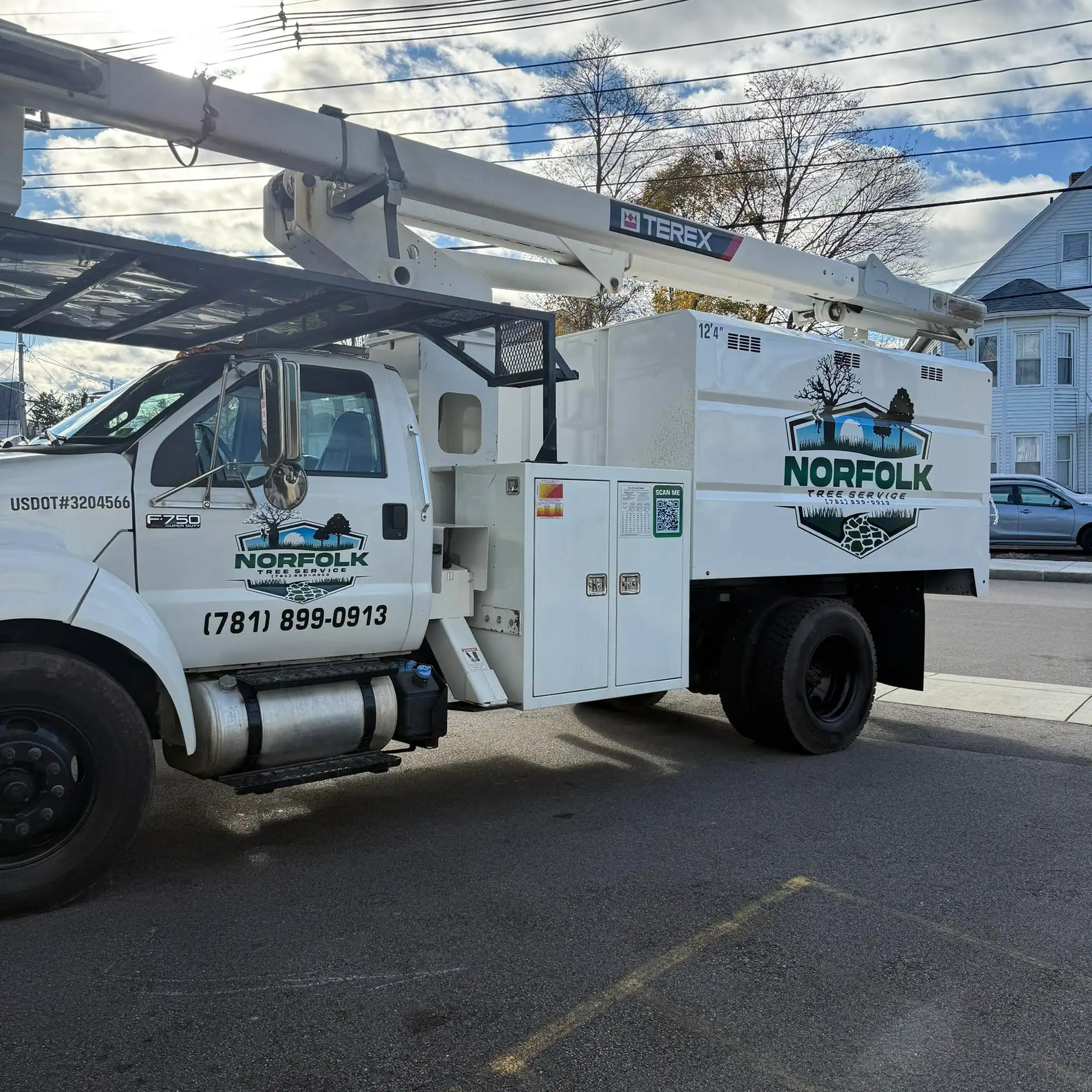 Quincy, MA 9 Norfolk Tree Service crew photo, tree services for Quincy, MA