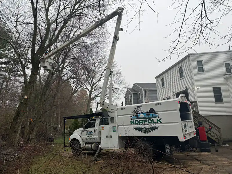 Certified Arborist Consultation 2 Norfolk Tree Service crew photo, tree services for Norfolk County and Greater Boston, MA
