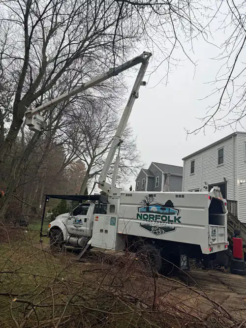 24/7 Emergency Tree Services