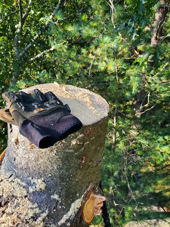 Watertown, Massachusetts