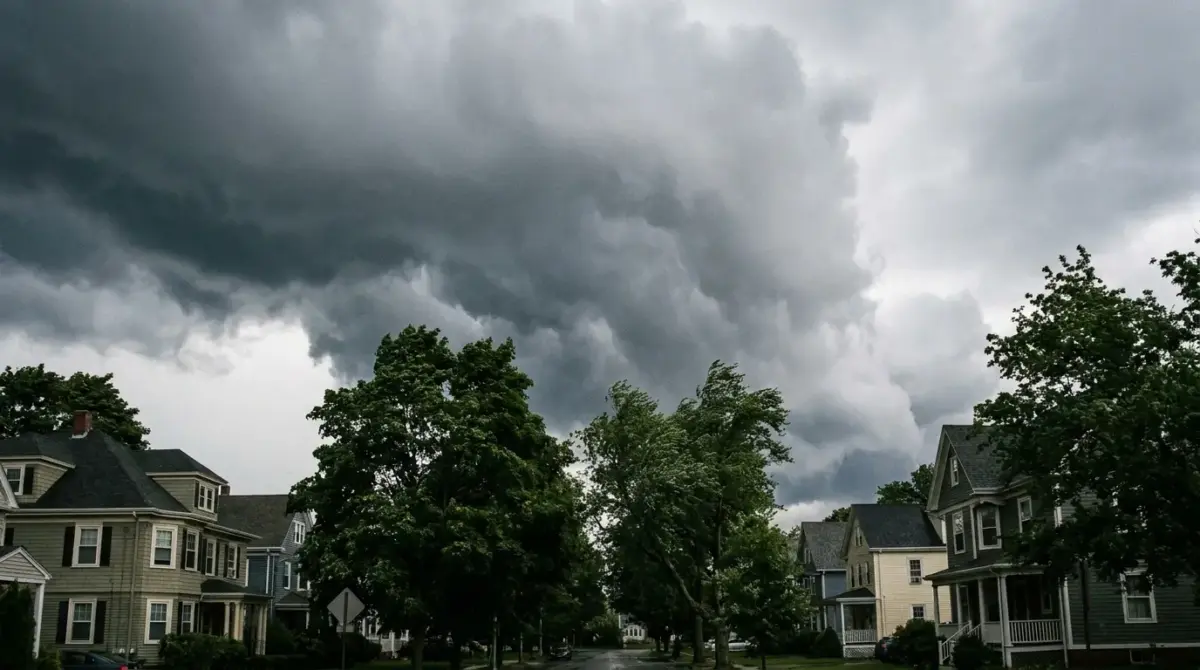 Storm Prep for Trees: Nor’easter Season Checklist 1 Storm prep — Norfolk Tree Service, MA
